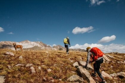 Smarte Tourenplanung: Wie digitale Werkzeuge Ihre nächste Wanderung perfektionieren